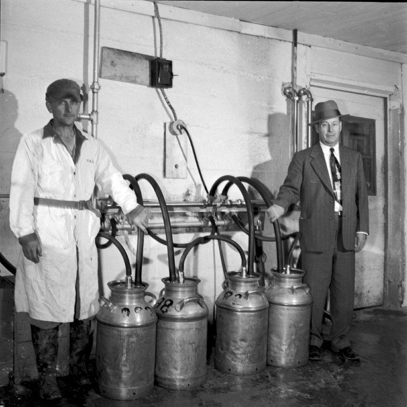 033_into the milk cans. (1953).jpg
